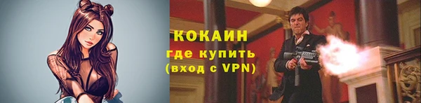 ПСИЛОЦИБИНОВЫЕ ГРИБЫ Осинники