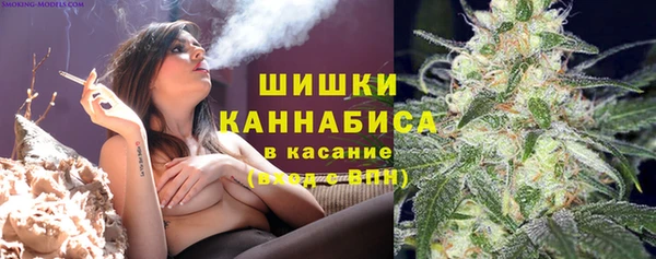 ПСИЛОЦИБИНОВЫЕ ГРИБЫ Осинники