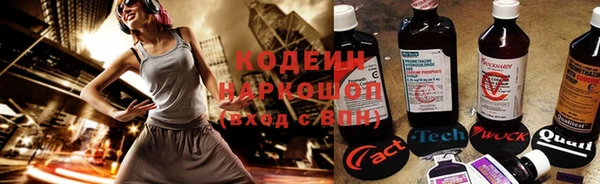 ПСИЛОЦИБИНОВЫЕ ГРИБЫ Осинники