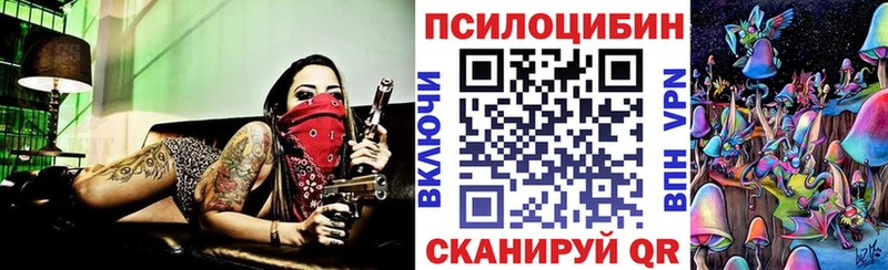 Псилоцибиновые грибы GOLDEN TEACHER  Купить закладки  Далматово 